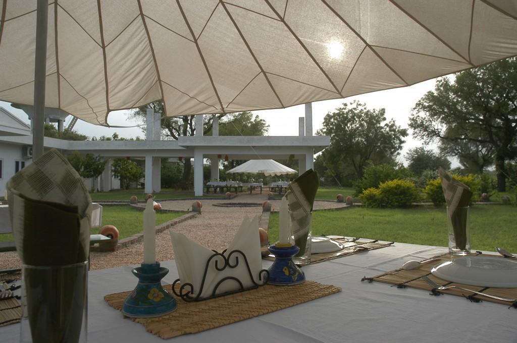 Savista Retreat Hotel Jaipur Bagian luar foto