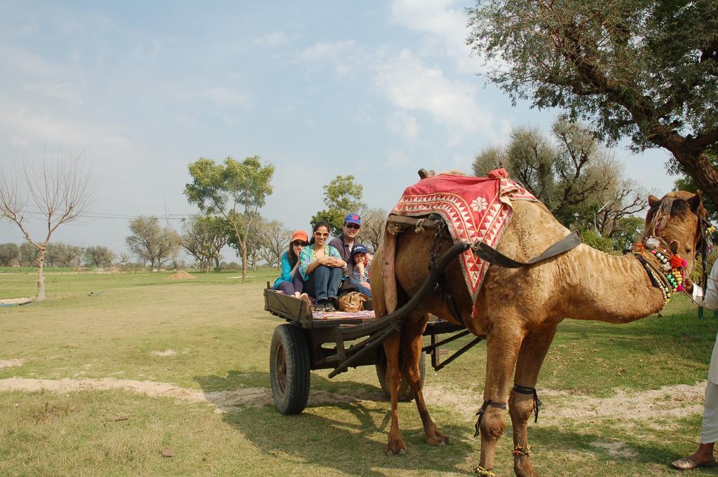 Savista Retreat Hotel Jaipur Bagian luar foto