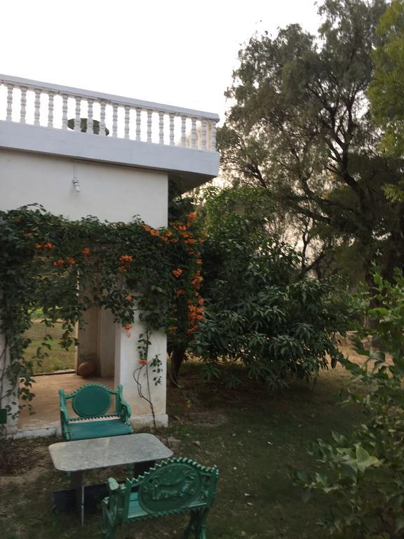 Savista Retreat Hotel Jaipur Bagian luar foto