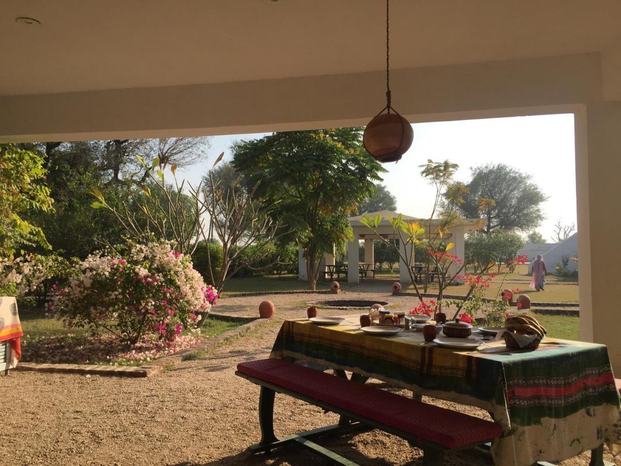Savista Retreat Hotel Jaipur Bagian luar foto